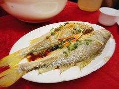 -蛇口康乐快餐鱼仔档(翠苑小区店)