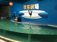 -南昌海洋公园