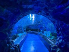 -海合安成都极地海洋公园