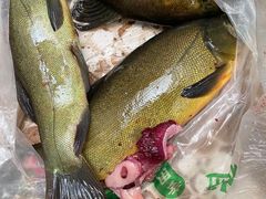 -江川野生菌火锅铜锅鱼(贵清火锅店)