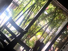 -地理学家咖啡馆