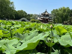 -莲池书院博物馆