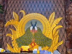 -西双版纳原始森林公园