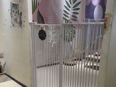 -藏猫猫咖啡主题馆(中央大道店)