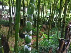 -杭州黄龙洞