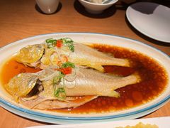 -波螺油子·海肠捞饭·青岛菜(市南银座店)