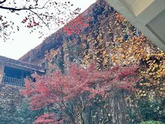 -中国茶叶博物馆(双峰馆区)