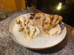 松茸-辉哥火锅(虹桥路店)