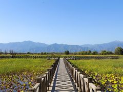 -野鸭湖国家湿地公园