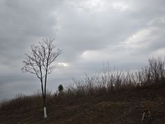 -汉长安城未央宫国家考古遗址公园