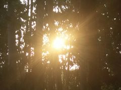 -揭东万竹园旅游景区