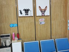 -瑞派名望志远动物医院·猫科·內科·异宠专科(直港大道店)