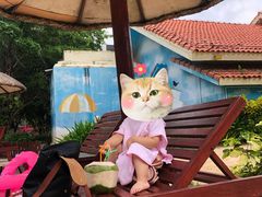 -三亚亚龙湾雅高美爵酒店