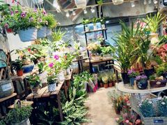 -桂林市花鸟市场