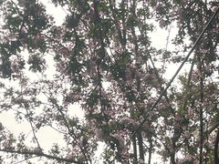 -民园广场