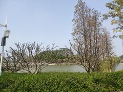 -顺峰山公园