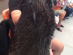 -尼莫海豚馆