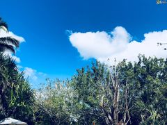 -三亚珠江南田温泉度假区