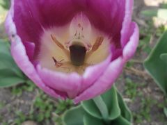 -长春公园(普阳街道)