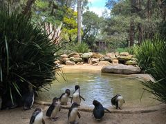 -费瑟代尔野生动物园