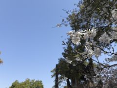 -浙江西子宾馆·牡丹厅