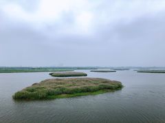 -呼兰河口湿地公园