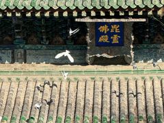 -隆兴寺