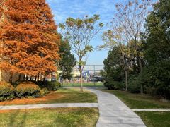 -上海英国外籍人员子女学校(浦西校区)