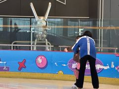 -冰纷万象滑冰场(二七万象城店)