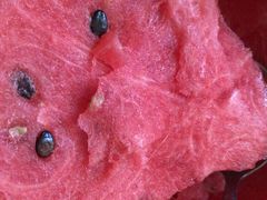 -北京北辰洲际酒店