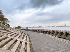 -上海滨江森林公园