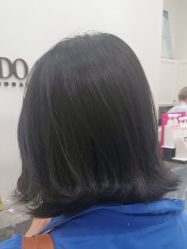 -YESIDO椰岛造型