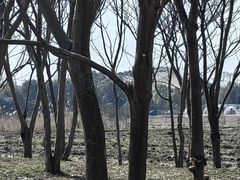 -广富林郊野公园
