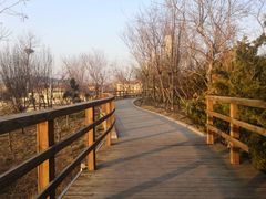 -青岛第三海水浴场