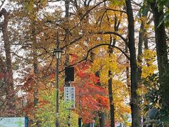 -三鹰之森吉卜力美术馆