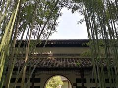 -焦山风景区