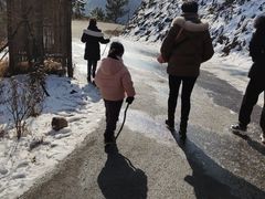 -四明山国家森林公园