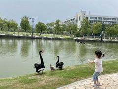 -南京医科大学(江宁校区)