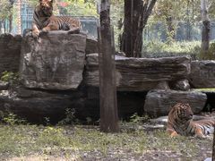 -秦皇岛野生动物园