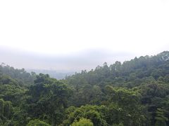 -火炉山森林公园