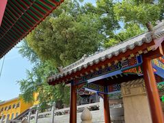 -宝通禅寺