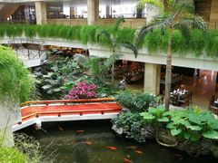 -白天鹅宾馆-宏图府餐厅