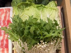 -蝎王府羊蝎子(西直门店)