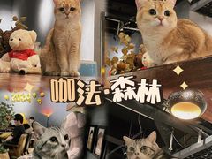 -咖法森林·咖啡  酒吧(天河店)