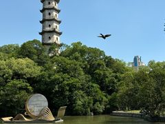 -江心屿景区
