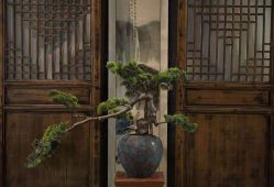 -凤绫儿亲子儿童摄影馆(天津店)