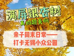 -宝界山林公园