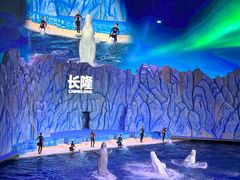 -珠海长隆海洋王国