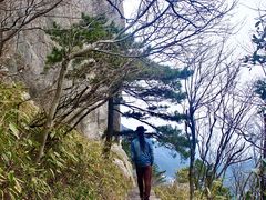 -妙道山国家森林公园