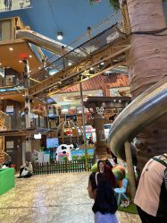 -卡通尼·Safari非洲探索乐园·生日会(金桥国际商业广场店)